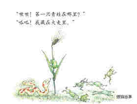 七只青蛙藏在哪儿绘本故事第2页