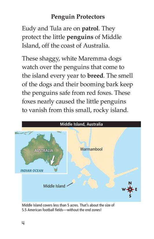 Guardian Dogs Penguin Protectors绘本故事第3页