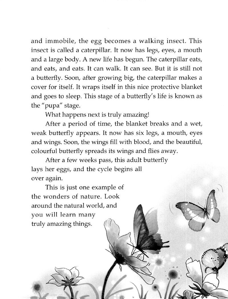 One Insect, Four Lives绘本故事第3页