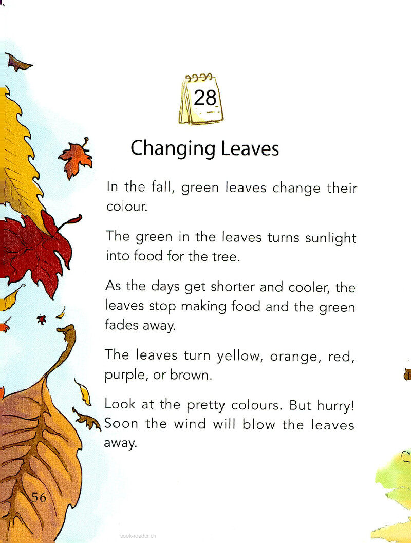 Changing Leaves绘本故事第2页