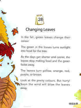 Changing Leaves绘本故事第2页