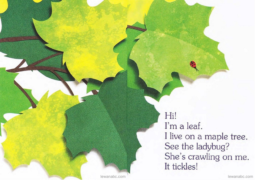 (36周)I Am a Leaf绘本故事第3页
