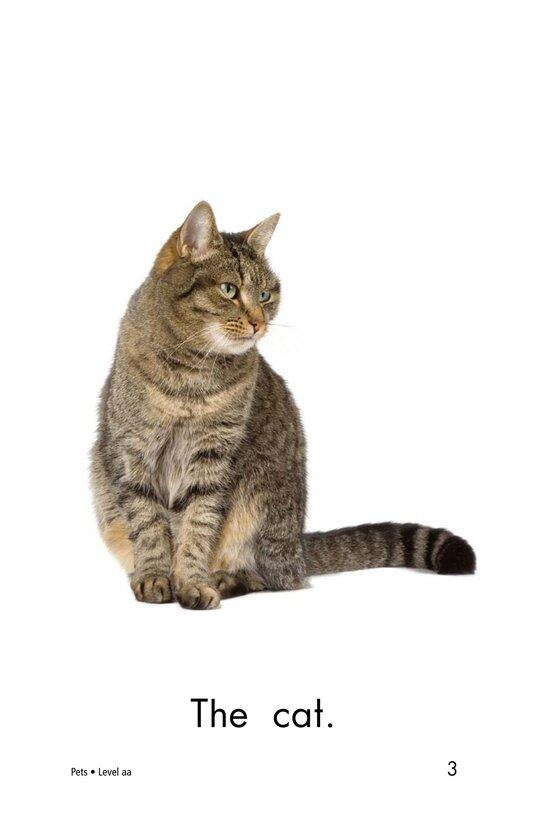 Pets绘本故事第3页