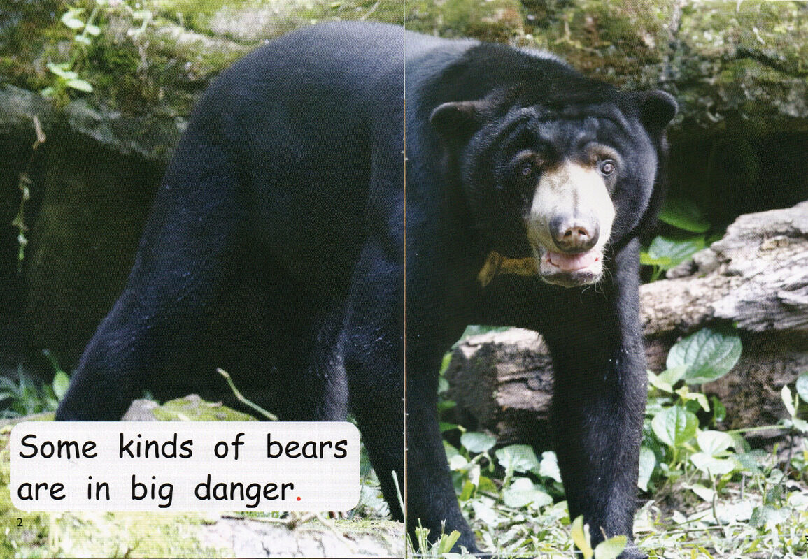 endangered animals绘本故事第3页