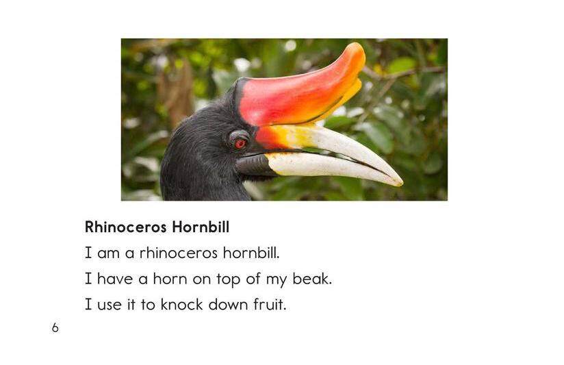 Weird Bird Beaks绘本故事第5页