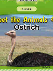 Ostrich