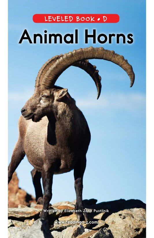 Animal Horns绘本故事第2页