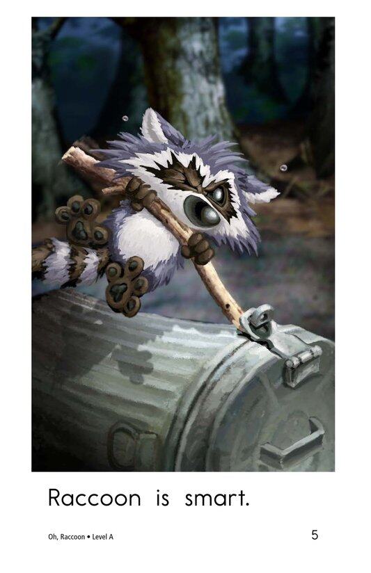 Oh,Raccoon绘本故事第5页
