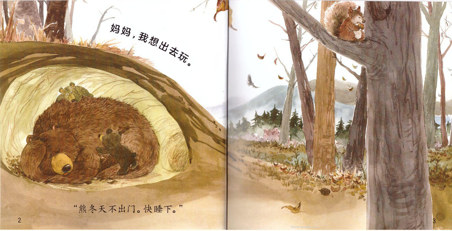 小熊和妈妈绘本故事第3页