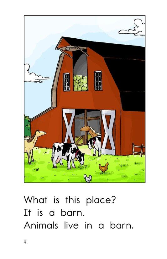 Country Places绘本故事第4页