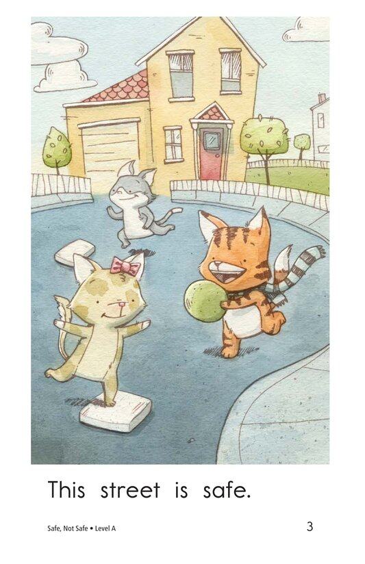 Safe,Not Safe绘本故事第3页