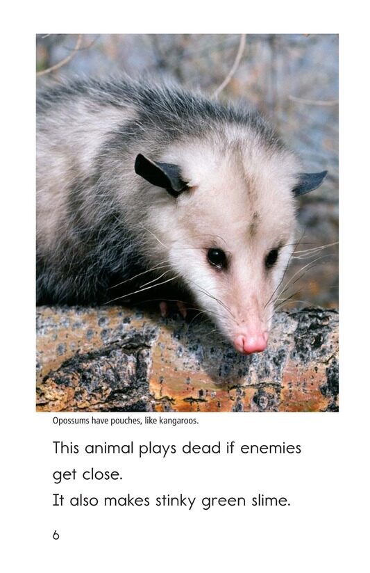 Nature Stinks!绘本故事第5页