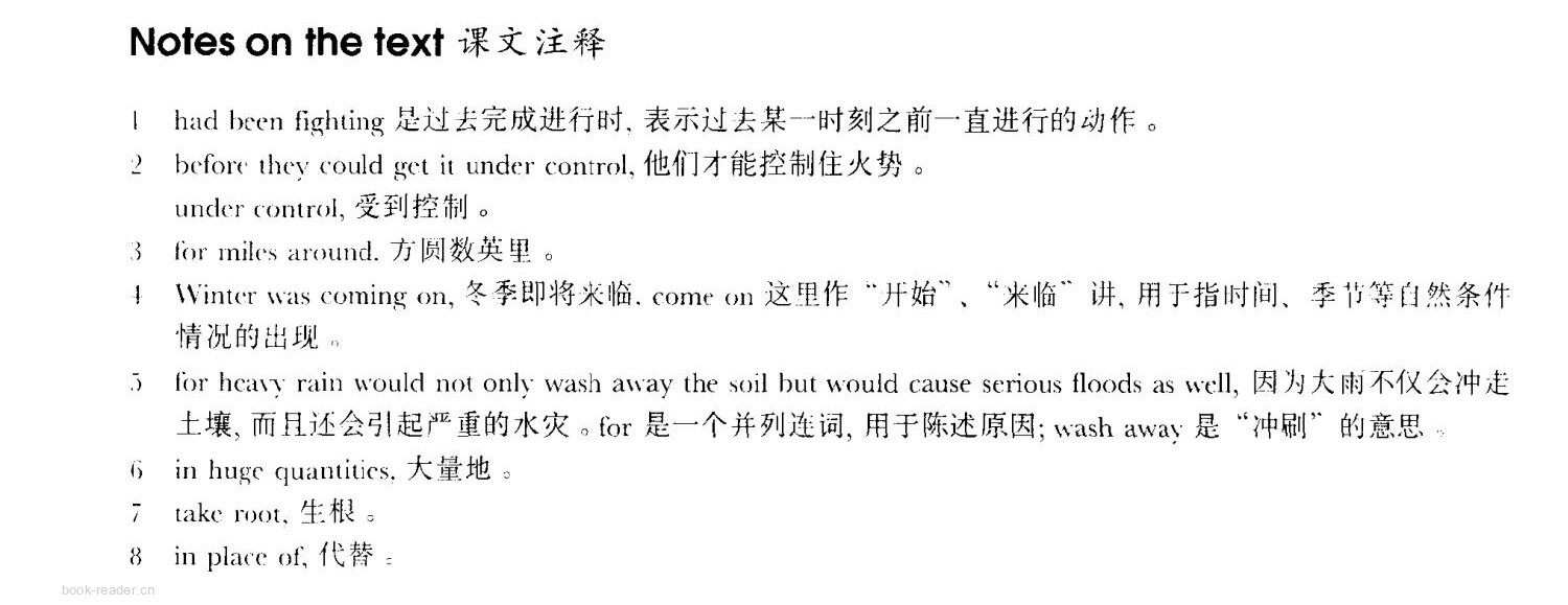 62 After the fire绘本故事第4页