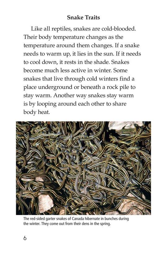 Slithery Snakes绘本故事第5页