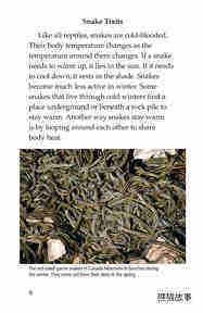 Slithery Snakes绘本故事第5页