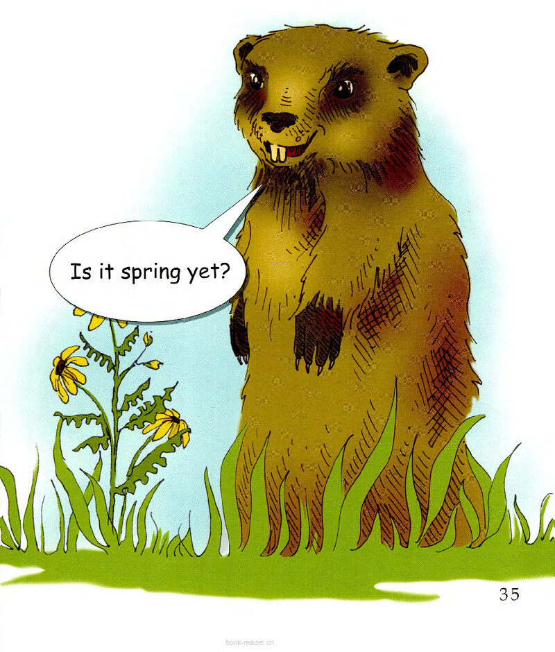 Is It Spring Yet?绘本故事第3页