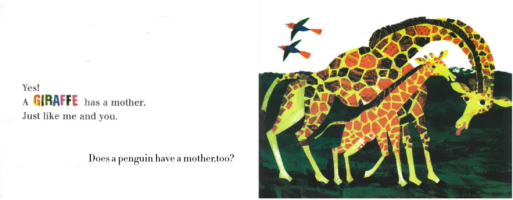 Does a kangaroo have a mother,too绘本故事第5页