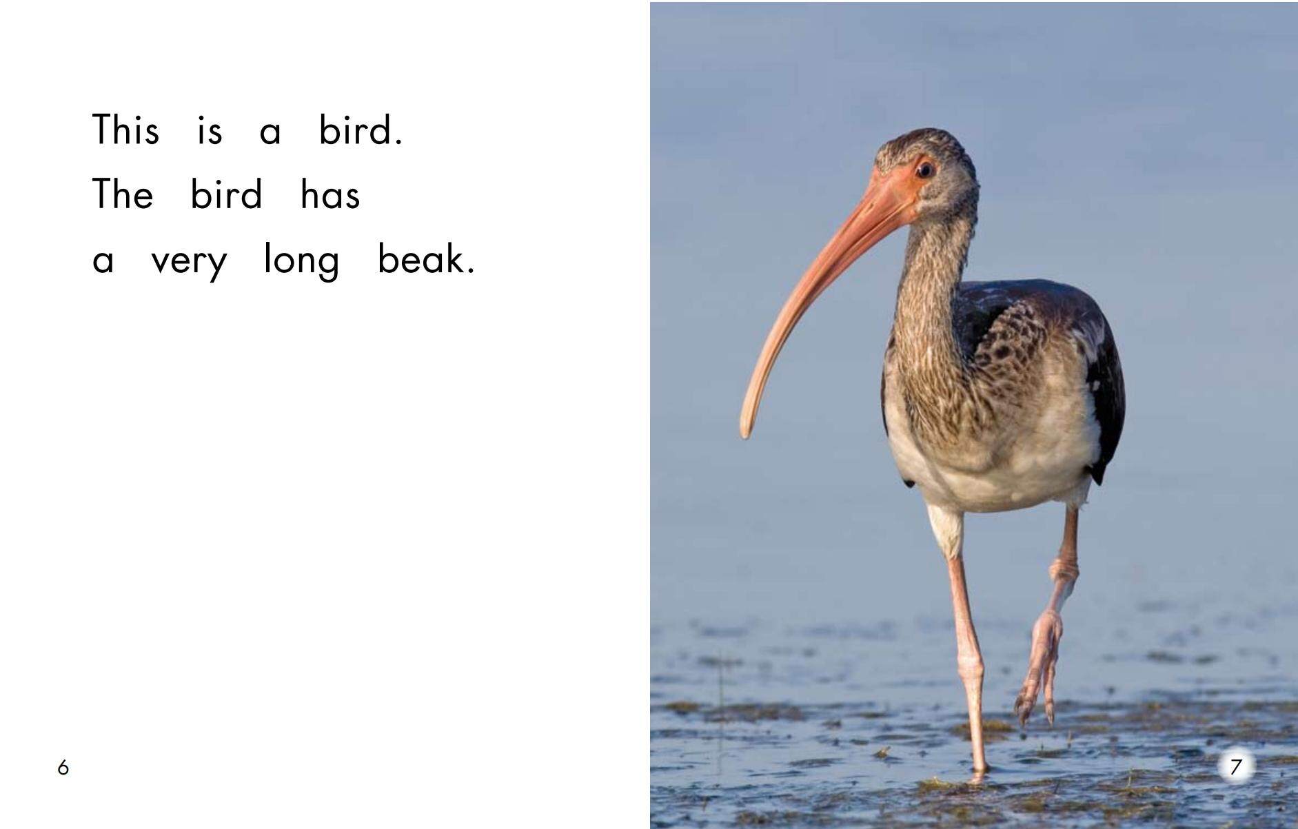 What is very long绘本故事第5页