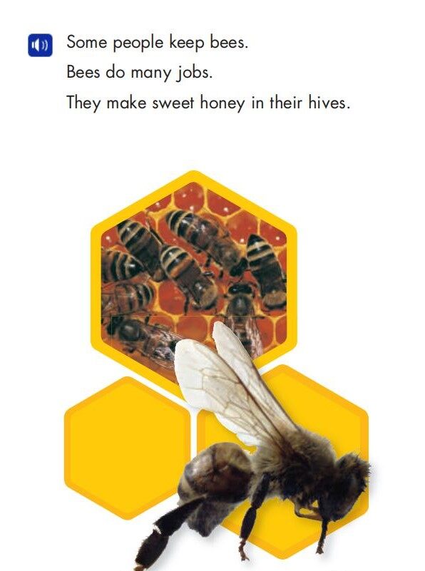 We Use Honey绘本故事第3页