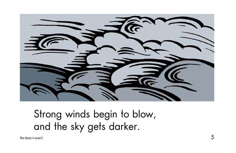 The Storm绘本故事第5页