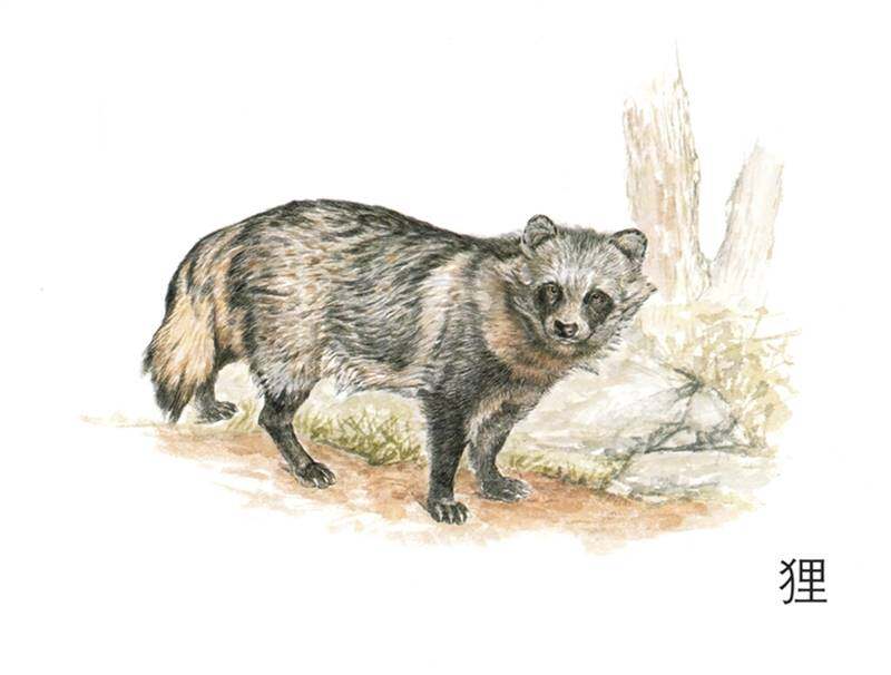 便便真好绘本故事第3页