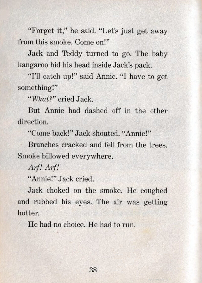 05 Wildfire!绘本故事第5页