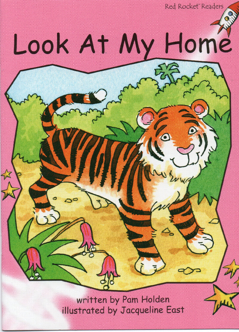 look at my home绘本故事第2页