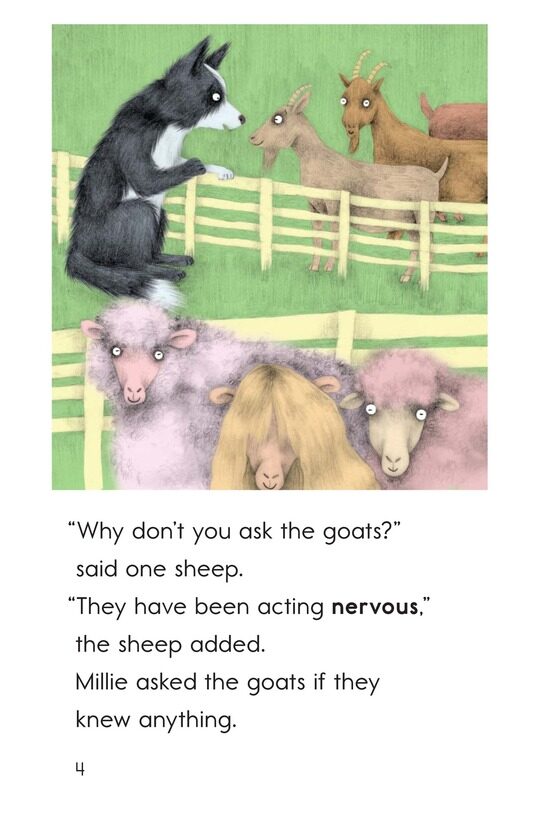 A Wolf in Sheep's Clothing绘本故事第4页