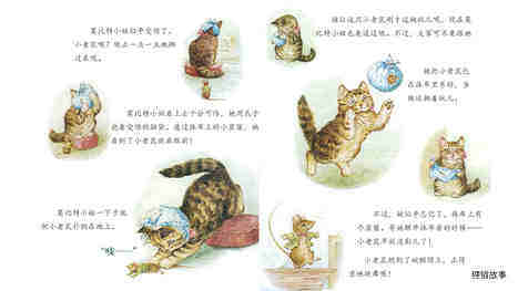 彼得兔·猫咪小姐莫比特绘本故事第5页