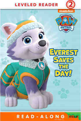 Everest Saves the Day!