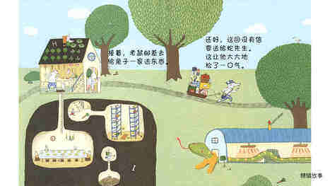 老鼠邮差转一圈绘本故事第5页