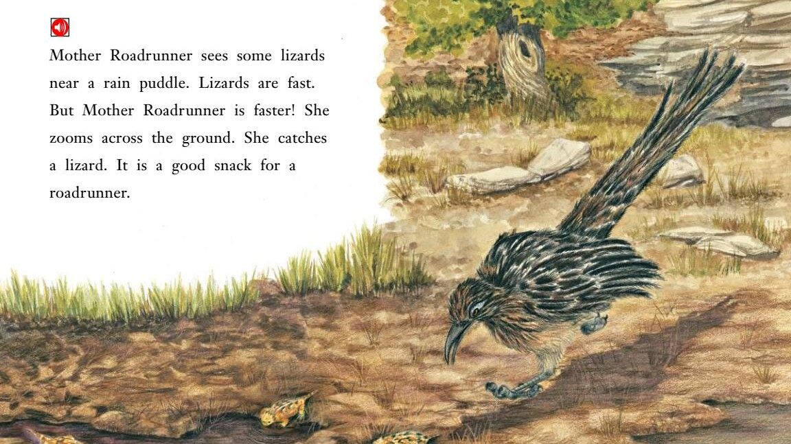 The Roadrunners绘本故事第5页