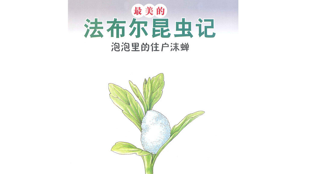 泡泡里的住户沫蝉绘本故事第2页