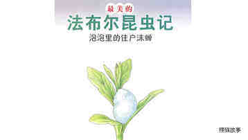 泡泡里的住户沫蝉绘本故事第2页