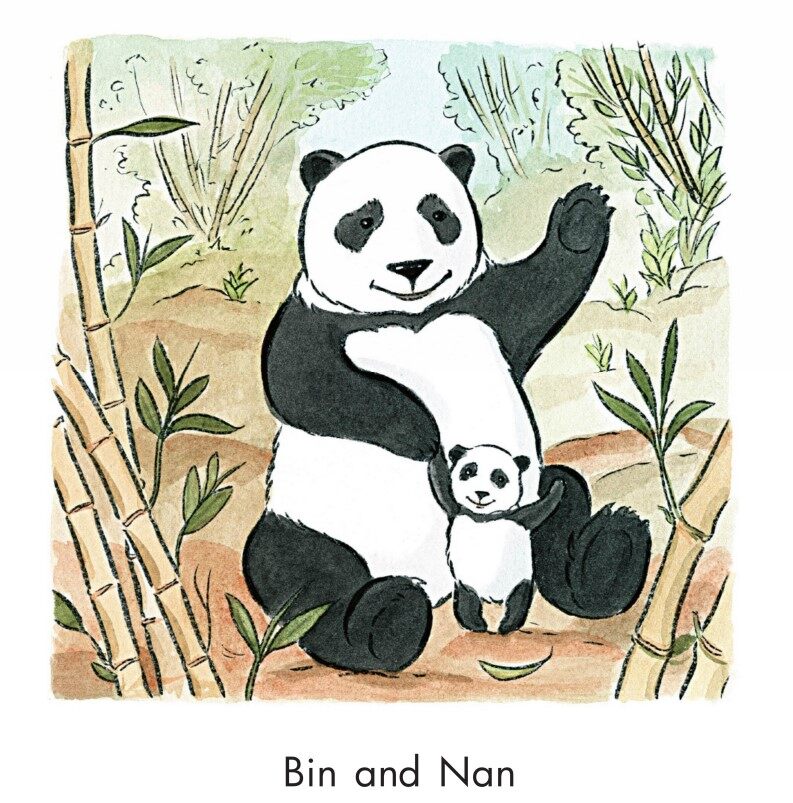 Pandas Can Nap绘本故事第3页