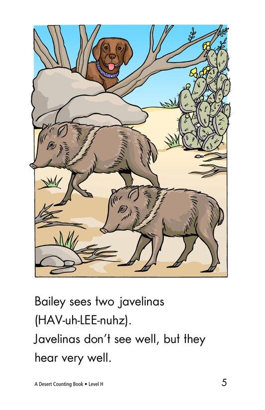 A Desert Counting Book绘本故事第5页