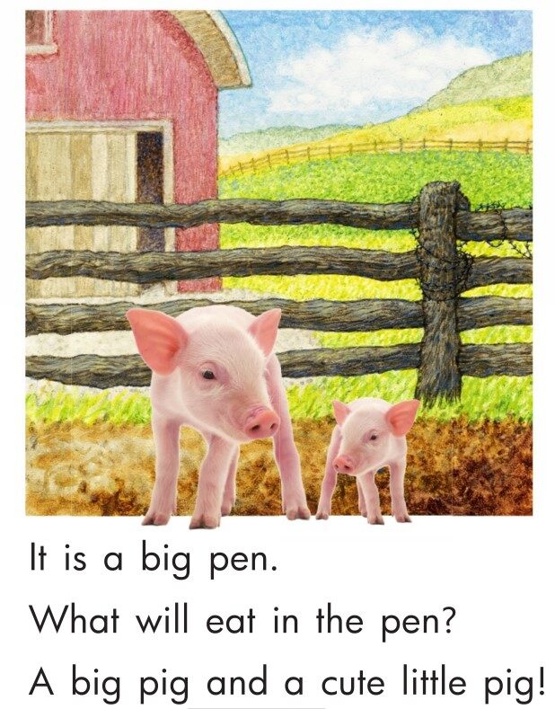 Where Do Animals Live？绘本故事第4页