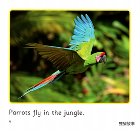 In the Jungle绘本故事第4页