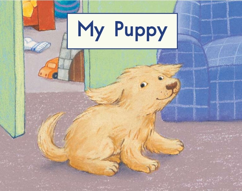 My puppy绘本故事第2页