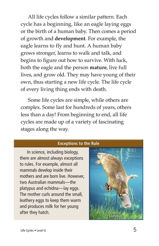 Life Cycles绘本故事第4页