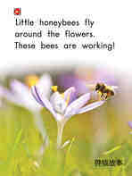 All About Honeybees绘本故事第4页