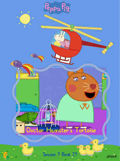 Doctor Hamster's tortoise