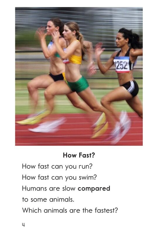 Fast and Faster绘本故事第3页