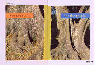 Look at the Tree绘本故事第3页