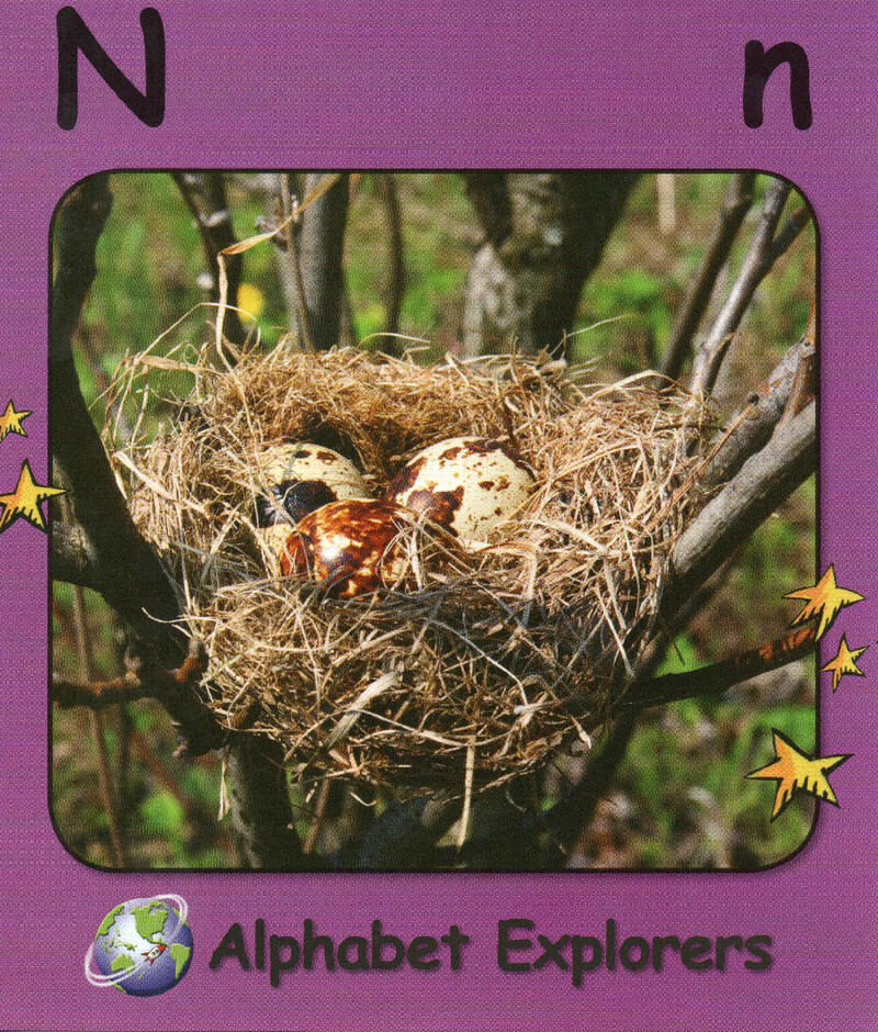 N绘本故事第2页