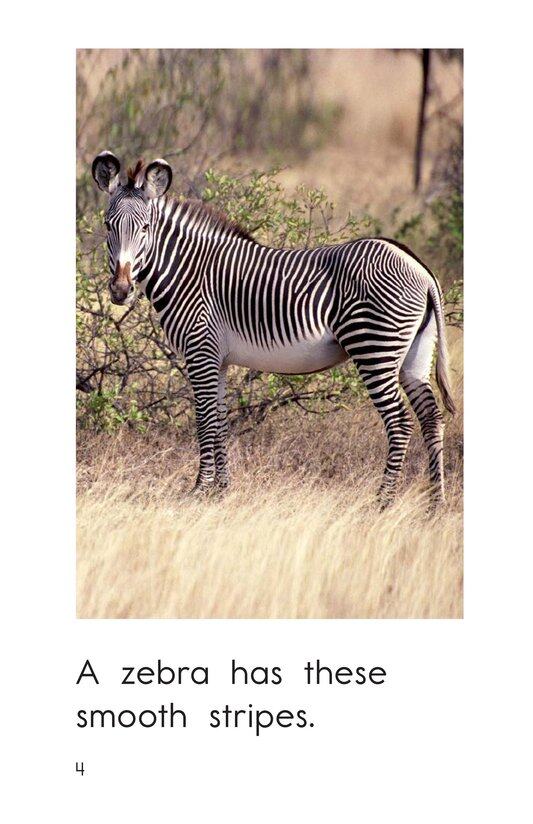 What Has These Stripes绘本故事第4页