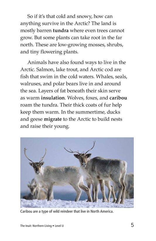 The Inuit Northern Living绘本故事第4页