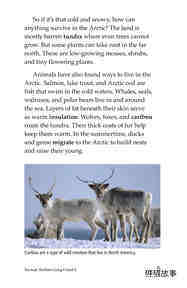 The Inuit Northern Living绘本故事第4页