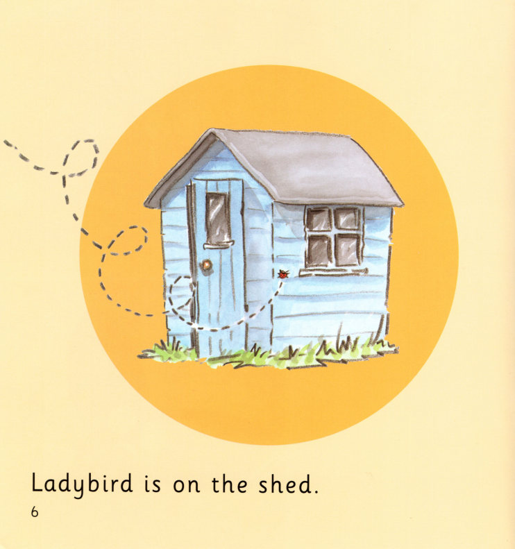 Fly Away Home绘本故事第5页