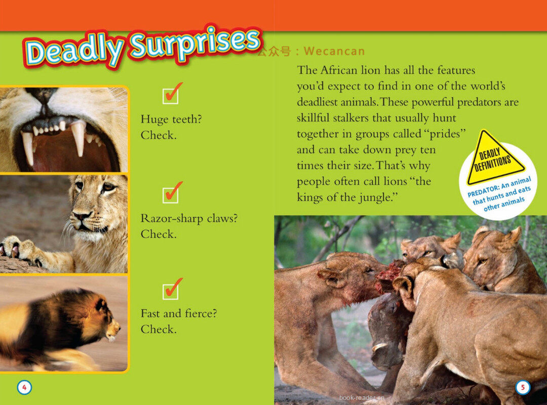 Deadliest Animals绘本故事第3页